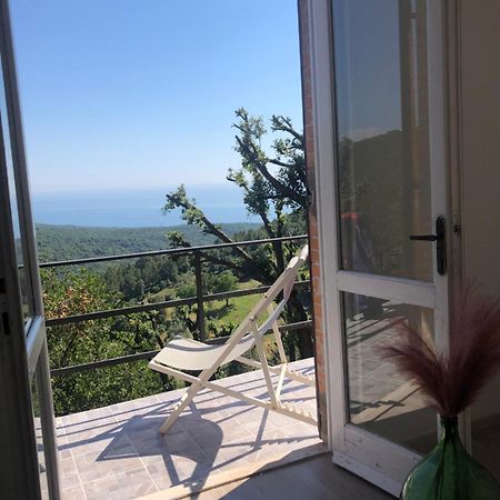 Villa Erika Montenero  Экстерьер фото