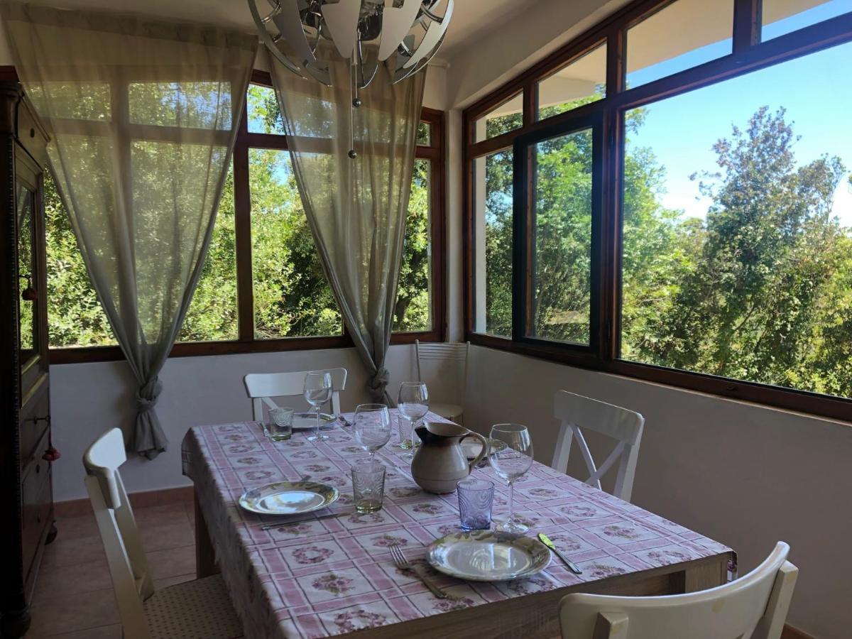 Villa Erika Montenero  Экстерьер фото