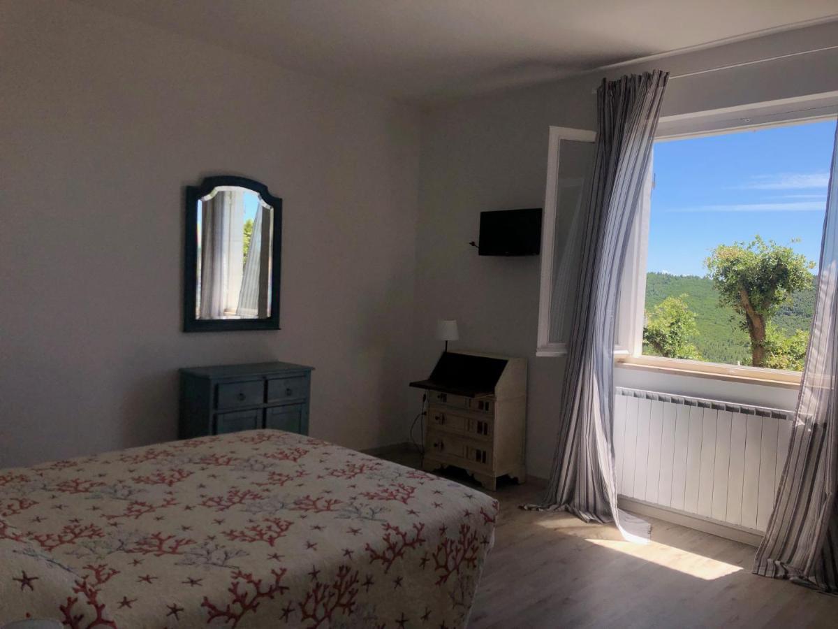 Villa Erika Montenero  Экстерьер фото